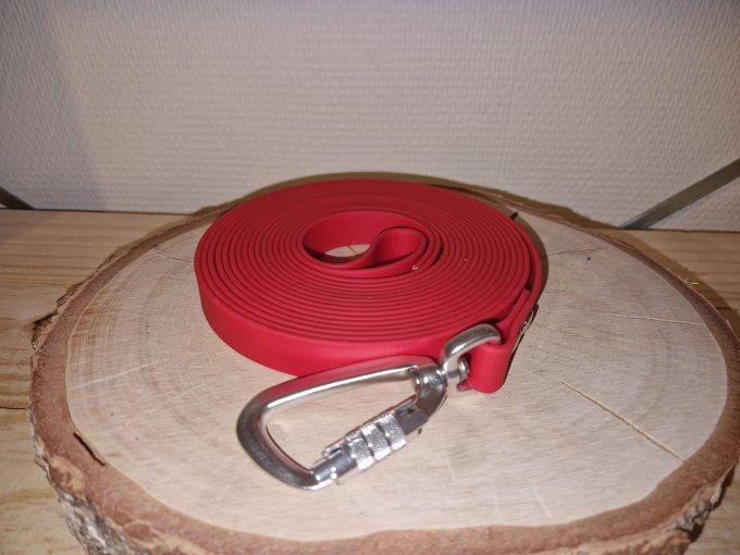 laisse en biothane 19 mm