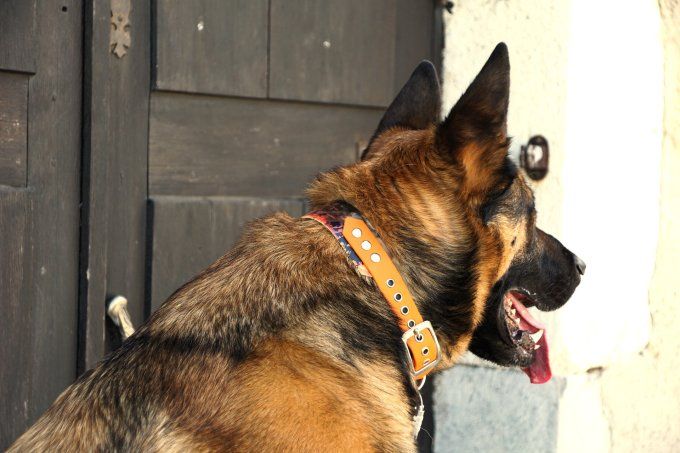 Collier Seigneurs des anneaux 